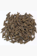 Vietnam Royal Tiger محسن عود فاخر | Premium Mohassan Burning Oud by Gulf Oud