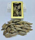 Vietnam Tiger Oud