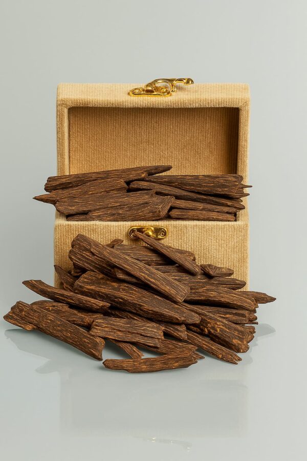 Resin‑dense Malaysian Mohassan AA oud chunk – premium agarwood for burning, dark-brown rich texture.