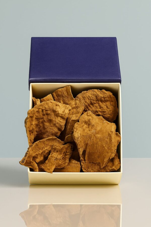 Dark, oily Vietnam Chaar oud chunk — premium resin-rich agarwood for burning.