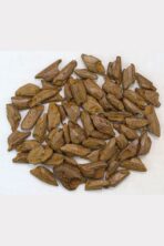 Kalimantan Super Bentaly محسن عود فاخر | Super Quality Mohassan Oud by Gulf Oud